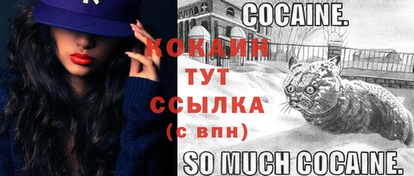 мет Армянск