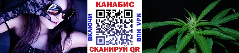 Бошки марихуана сатива  Строитель 